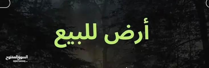  1 ارض للبيع شارع القدس تل النصبه