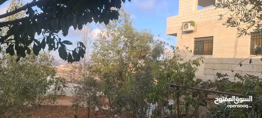  6 بيت مستقل مع ارض  للبيع بسسب السفر