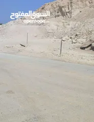  12 ارض للبيع اريحا _قطعة ارض