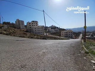  3 أرض مميزة قرب شارع الأردن ومطعم ديوان زمان