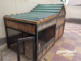  3 Dog cage for sale