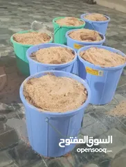  1 مالح للبيع ممتاز