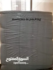  5 habib movers and packers