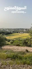  14 ارض سكنية  للبيع طريق المطار بالقرب من فلل جرين لاند بمساحة ( 1801 م ) في ناعور