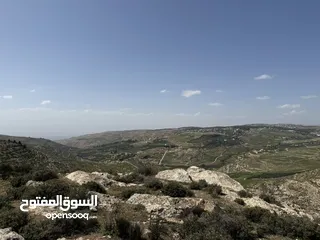  19 ارض للبيع قرمية حسبان 3100 متر لكامل القطعة قابل للأقساط