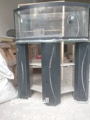  4 مطايروحوض.سمك