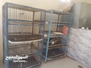  2 عدة محل جاج