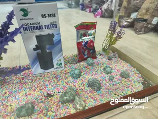 2 للبيع حوض سمك مجهز بالكامل! حوض أنيق بتصميم عصري، يحتوي فلتر .احجار ، صدف، انارة لد، عشب كامل