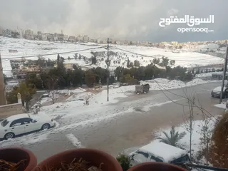  17 بيت طابق اول مع السطح للبيع من المالك مباشره ماركا الشماليه