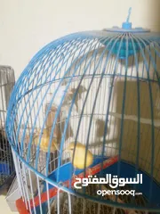  6 مخاليف كنار