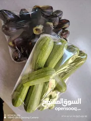  7 تجهيز طعام منزلي