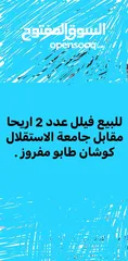  1 فلل عدد التنين في أريحا