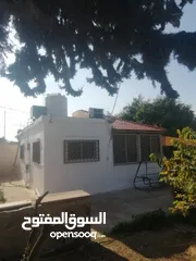  2 بيت مزرعة (ترخيص سكن) مزروعة شجر مثمر مع بير في منطقة الاغوار الوسطى ظهرة الرمل