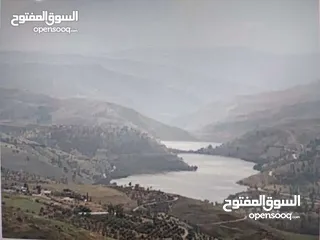  5 مزرعة اطلالة البحيرات  سد الملك طلال جرش