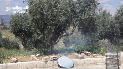  11 مزرعة مع بيت لقطة للبيع