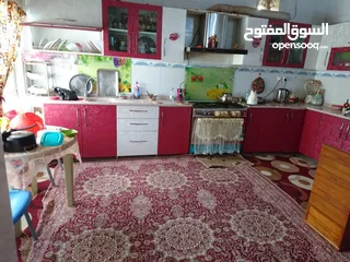  2 بيت في دور النفط ورثه + قصر