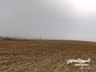  2 قطعة ارض مميزة استثماريه بقرب من مستشفى ملك عبدالله و جامعة العلوم والتكنولوجيا حوض نقع الرميث