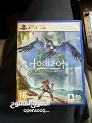  1 هورازين HORIZON