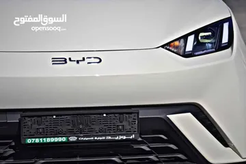  11 BYD SEAGULL FLYING 2024