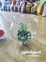  1 باولات سمك ، للمكاتب ، غرف النوم ، الصالون استقبال الضيوف ، رونق خاص للجمال و الاناقة