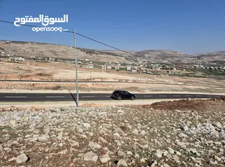  2 قطعة ارض بطلوزة كوشان مستقل مفروز