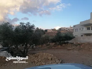 16 ارض سكنيه في ابو نصير، قراية 800 متر تقع على شارعين أمامي خلفي، منسوب خفيف، بعد مستشفى الرشيد
