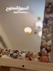  5 Wall Mirror with Shell Frame - Resin Coated. perfect for bedrooms & entryways.