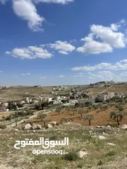  2 ارض زراعية داخله التنظيم