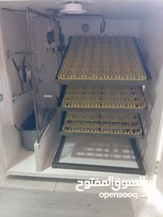  2 **فقاسات فل اوتوماتيك**