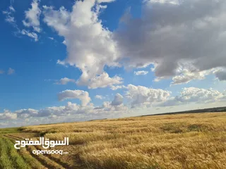  1 ارض للبيع في القنيطره اللفيفه 3400 م يتوفر عده قطع ومساحات مختلفه