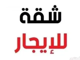  3 شقة مفروشة