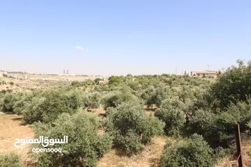  14 (1)ارض للبيع في اجمل مناطق الأردن الفحيص _حوض أبو ركبه _بالقرب من دابوق