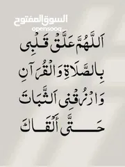  1 صيصان عمر شهر 52 صوص الصيصان ما شاء الله عليهم