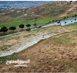  5 قطعه ارض مميزة بطلتها فوق شارع الاردن
