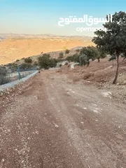  12 أرض مميزه _الصبيحي _ بيوضه الشماليه