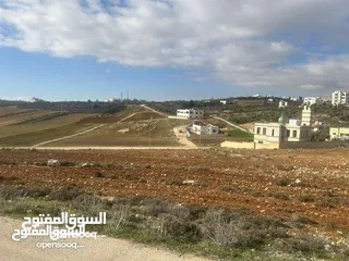  5 ارض للبيع في اجمل مناطق ناعور