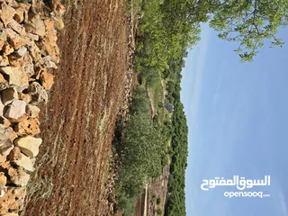  25 راس منيف 2 دونم راس منيف قوشان مستقل  عاليه و كاشفه  من مالك مباشره قريبه من جميع الخدمات راقيه