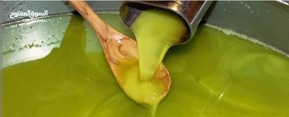  3 زيت زيتون بلدي بعل رومي زيتون اخضر واسود زيت لعام وزيت سنه زيت مضمون ومكفول وافحص وين مبدك