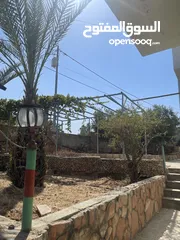  10 بيت مستقل للبيع