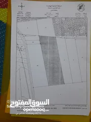  4 عبد المعطي