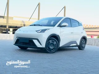  14 بي واي دي سيجال  ممشى قليل لون بيج