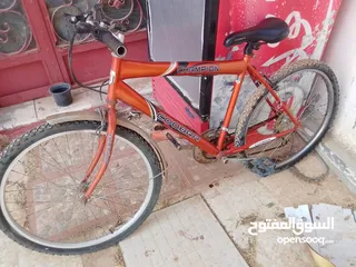  1 دراجة نضيفة