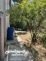  13 شقة ارضية مع حديقة ومدخل خاص