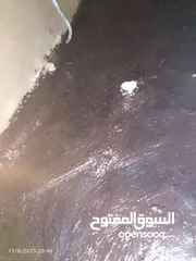  5 ابو محمد للمقاولات والدهانات