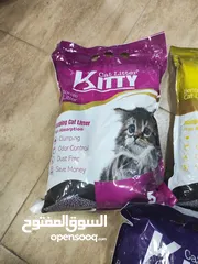  1 تراب قطط مميز كيتي