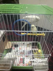  1 Love birds cage also 4