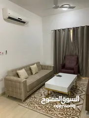  13 One Bedroom Furnished Apartment