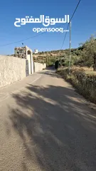  4 مزرعة وشاليه في جرش