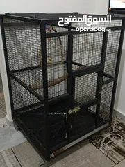  1 قفص  ببغاء  كاسكو أو مكاوي تفصيل متحرك بعجال  حجم كبير وثقيل وشي مرتب