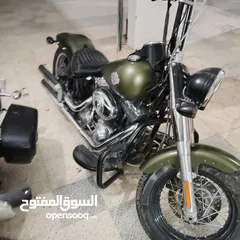  11 harley softail slim
